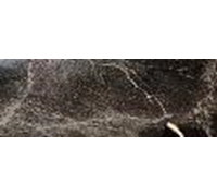 Панель стеновая королевский мрамор глянец 3м
